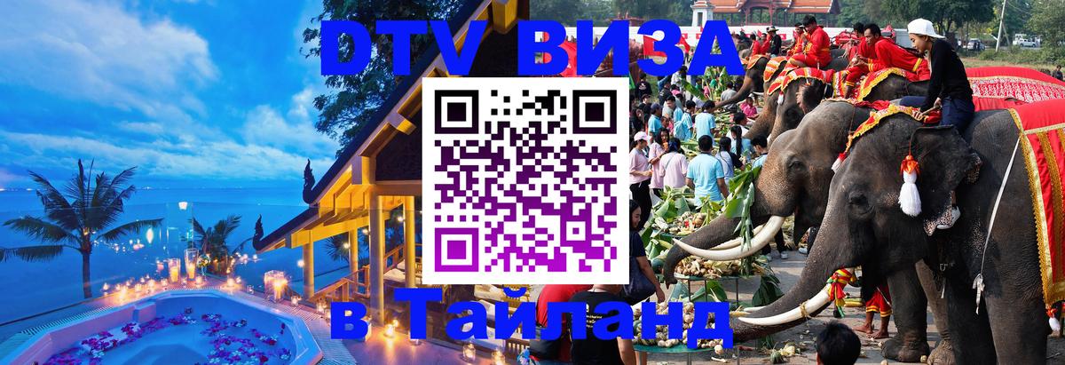 Сколько стоит DTV виза — актуальные цены, оформление даже без документов - Нижний Новгород 